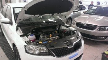 Упоры капота Russtal Skoda Rapid NH1 хэтчбэк рестайлинг (2015-2020)