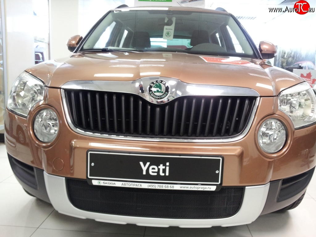 1 469 р. Сетка на бампер Russtal (черная) Skoda Yeti (2009-2013)  с доставкой в г. Нижний Новгород