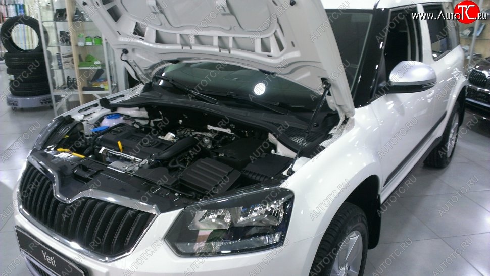 2 199 р. Газовый упор капота Berkut Skoda Yeti (2009-2013)  с доставкой в г. Нижний Новгород