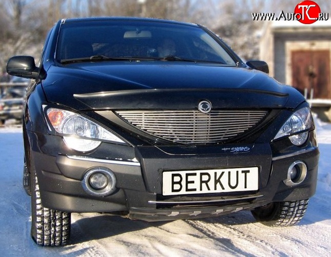 5 999 р. Декоративная вставка решетки радиатора Berkut SSANGYONG Actyon Sport (2006-2011)  с доставкой в г. Нижний Новгород