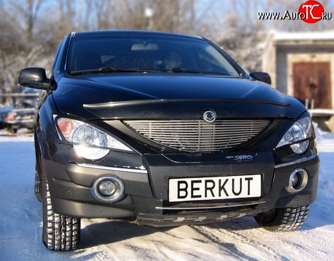 5 999 р. Декоративная вставка решетки радиатора Berkut SSANGYONG Actyon 1 (2006-2010)  с доставкой в г. Нижний Новгород