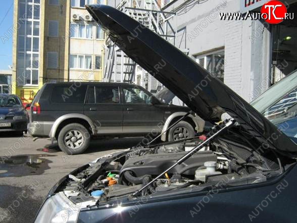 2 199 р. Газовые упоры капота Berkut Suzuki Grand Vitara JT 5 дверей дорестайлинг (2005-2008)  с доставкой в г. Нижний Новгород