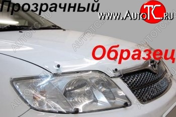 2 159 р. Защита фар (J120-J125) CA-Plastic  Toyota Land Cruiser Prado  J120 (2002-2009) (Classic прозрачный)  с доставкой в г. Нижний Новгород