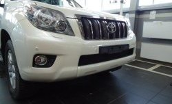 1 469 р. Сетка на бампер Russtal (черная)  Toyota Land Cruiser Prado  J150 (2009-2013) дорестайлинг  с доставкой в г. Нижний Новгород. Увеличить фотографию 1