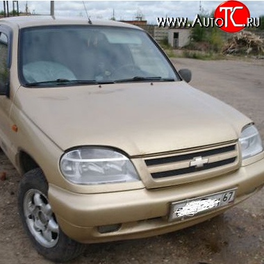 22 449 р. Капот Стандартный Chevrolet Niva 2123 рестайлинг (2009-2020) (Окрашенная)  с доставкой в г. Нижний Новгород