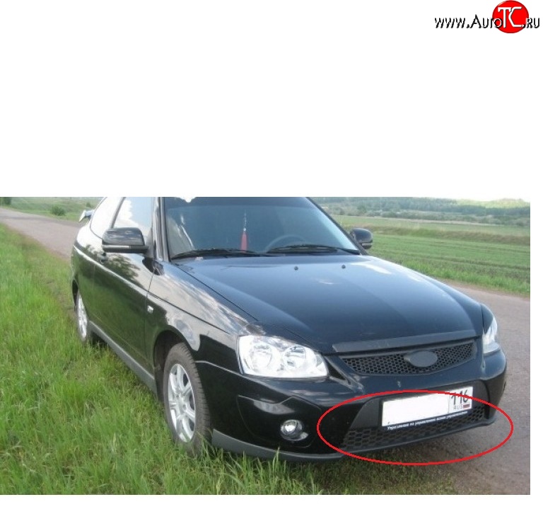 439 р. Решетка бампера 21728 Priora Sport нижняя Лада Приора 2170 седан дорестайлинг (2007-2014)  с доставкой в г. Нижний Новгород