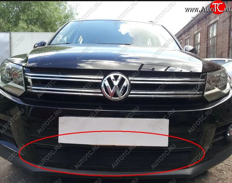 2 699 р. Защитная решётка в воздуховод автомобиля Russtal (черная) Volkswagen Tiguan Mk2 дорестайлинг (2016-2020)  с доставкой в г. Нижний Новгород