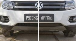 1 429 р. Защитная сетка решетки переднего бампера (Track & Field) РА  Volkswagen Tiguan  NF (2011-2017) рестайлинг  с доставкой в г. Нижний Новгород. Увеличить фотографию 4